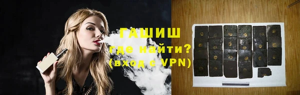 индика Киреевск
