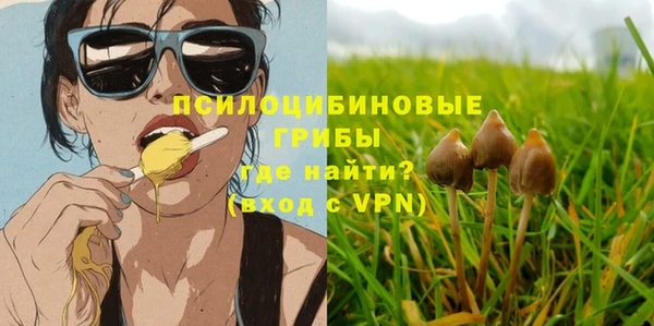 каннабис Абаза