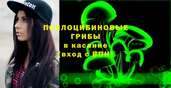 молекула духа Алзамай