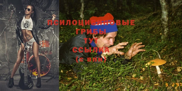 a pvp Абдулино