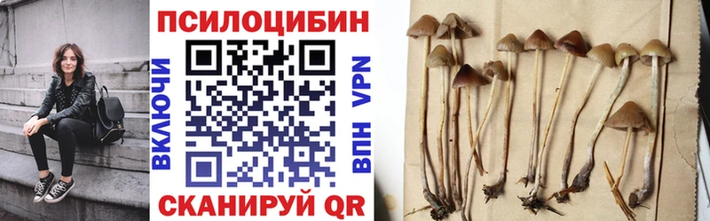магазин Бирюсинск Галлюциногенные грибы ЛСД